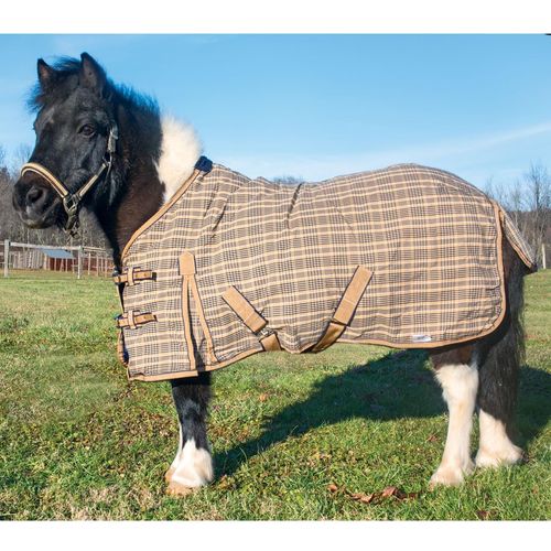 Country Pride Classic Plaid Stable Sheet, Miniature Horse (54)