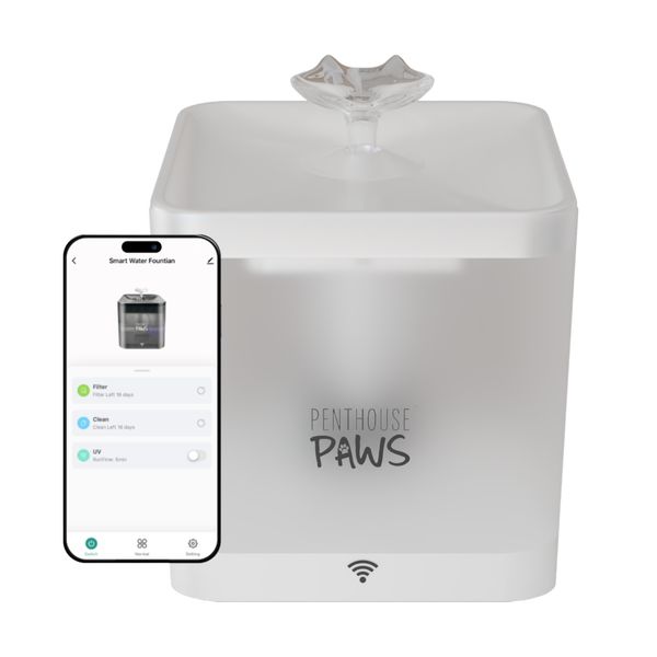 Penthouse Paws pet Smart Water Fountain For Cats & Dogs, 2.2 L White