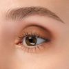 ANNA SUI Matte Eye Color 501