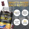 Shilajit Original Shilajit Gummies