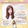 fungoo Highlight Cap with Guide Supervised by Active Hairdresser for Beginners, Self-Mesh (Set of 2)