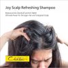 Chihtsai JOY Scalp Refreshing Shampoo 18.1 oz / 535 ml | Dandruff Control