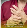 Tango ArthriPhase Natural Joint Support Formula (60 Vegetarian Capsules)