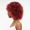 Janet Collection Natural Curly Wig Natural Afro Leon (1B)