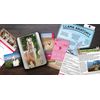 Gift Republic GR100051 Adopt a Llama Kit, Multi