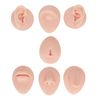 Piercing Practice Body Parts, Nose Tongue Model, 3D Flexible Simulation Ear Model Body Piercing Practice Model Silicone Body Parts for Novice (Light Skin Color)