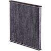 Cabin Air Filter-Charcoal Media Pronto PC5549