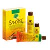 Sanotint PPD & Ammonia Free Extra Light Blonde Hair dye 88