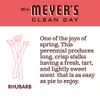 Mrs. Meyer's Hand Soap, Made with Essential Oils, Biodegradable Formula, Rhubarb, 12.5 fl. oz