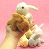 Tea Advance Little Beans Rabbit 7154 YELLOW