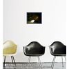 Banksy Powerwash Poster