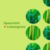 Everyone Hand Soap, Spearmint plus Lemongrass, 12.75 oz