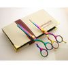 Set of Titanium Hairdressing Scissors and Thinning, with Zip Case