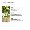 Molton Brown Orange & Bergamot Hand Cream 40 ml