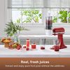 Masticating Juicer Attachment for Kitchenaid Stand Mixer, 4.2" Large Feed Chute 