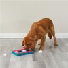 Interactive Puzzle Game Dog Training Toys Level 2 Intermediate