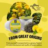USDA Organic Dandelion Root K-Cup Pods – 24 Count, Eco-Friendly Tea