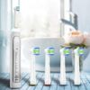 WuYan EB18 Replacement Brush, Interchangeable, Brown, Electric Toothbrush, Multi-action, Basic Brush, Combined Use, Pack of 4
