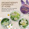 8-Pcs Shower Steamers Aromatherapy - Birthday Gifts for Women - Spa Gifts for Women, Shower Steamers for Women - Shower Bomb, Shower Bombs Aromatherapy - Shower Bombs for Women - Shower Aromatherapy
