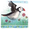 Alex Clark Flying Puffin Coaster