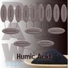 RAW Humic Acid Plus Potash Water-Soluble Fertilizer for Soil Structure, 8oz