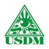 Seeing eye USDM Cutting Sticker Green Green