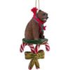 Bear Grizzly Candy Cane Ornament