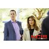 NCIS - Navy CIS - Season 14 (DVD) [DVD]