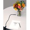 NeoLucida: The 21st Century Camera Lucida Drawing Tool