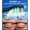 Water Flosser and Toothbrush Combo in One, 600ml Oral Irrigator and Electric Toothbrush with 7 Jet Tips, 2 Brush Heads Whitening Toothbrushes, Dental Water Flosser for Braces, White