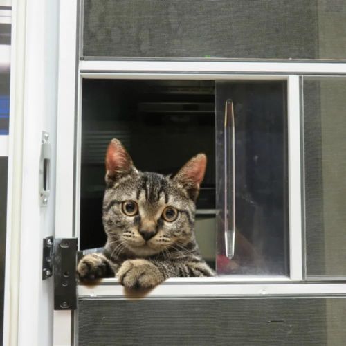 RV Screen Door Slide Closer | Self-Closing Slider for R.V. Screen Door | Fits 10-3/4" to 13" Slider | Please Make Sure The Dimensions fit Your Slider