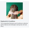 Suave Professionals Rosemary & Mint Invigorating Conditioner 12.6 Fl Oz