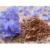 ORIGINAL : Flax Hull Lignans / 5oz Powder from Organic Flax. 