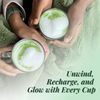 Tease Tea Gift Sets (Matcha Powder + Whisk Set)