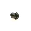 Bosch F5916 - Gasoline Filter Car