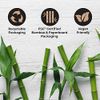 REACH Clean World Natural Bamboo Toothbrush, Soft Plant-Based Bristles, FSC Certified Bamboo and Paperboard, Recyclable Packaging, 3 Count