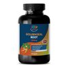 Natural Immune Support Goldenseal Root Urinary Tract Infections (1 Bottle)