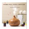 Tea Tree 20 Pcs Pure Essential Oil Gift Set, for Diffuser, Humidifiers, Skin