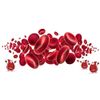 Reduce Carbohydraes Absorption - Blood Sugar Support 600mg - Bitter Melon 2B