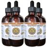 Goldenrod (Solidago virgaurea L.) Liquid Extract 4x4 oz