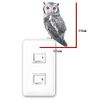 Wall Decals Bird Life Color "scops owl"