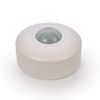Ceiling Surface Mounted Round 360 Degree Detection Angle LED Load Occupancy Motion Body Movement Sensor Adjustable Timer Lamp Light Switch Control (Standard)