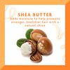 Cantu Moisturizing Cream Shampoo, Shea Butter 400 ml