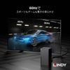 LINDY 0.5m BLACK LINE 8K HDMI Type-A Cable (Model Number: 36770)