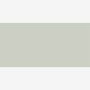 Caran d'Ache : Pablo Coloured Pencil : Ash Gray 401