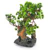 Penn-Plax RR993 7" L x 6" W x 12" H Bonsai Tree on Rock Style 2 Fish Aquarium Ornament