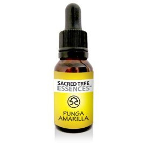 PUNGA AMARILLA Master Plant shamanic Amazonian Essence