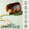 Propolis Powered Gut Health Supplement 60 Capsules Pre Pro Postbiotics Support