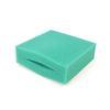 Pisces Twin Pack Compatible Oase Biotec 5.1/10.1 Replacement Filter Foam - Green Fine Foam