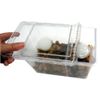Coelacase Insect Rearing Case, Clear Slider
